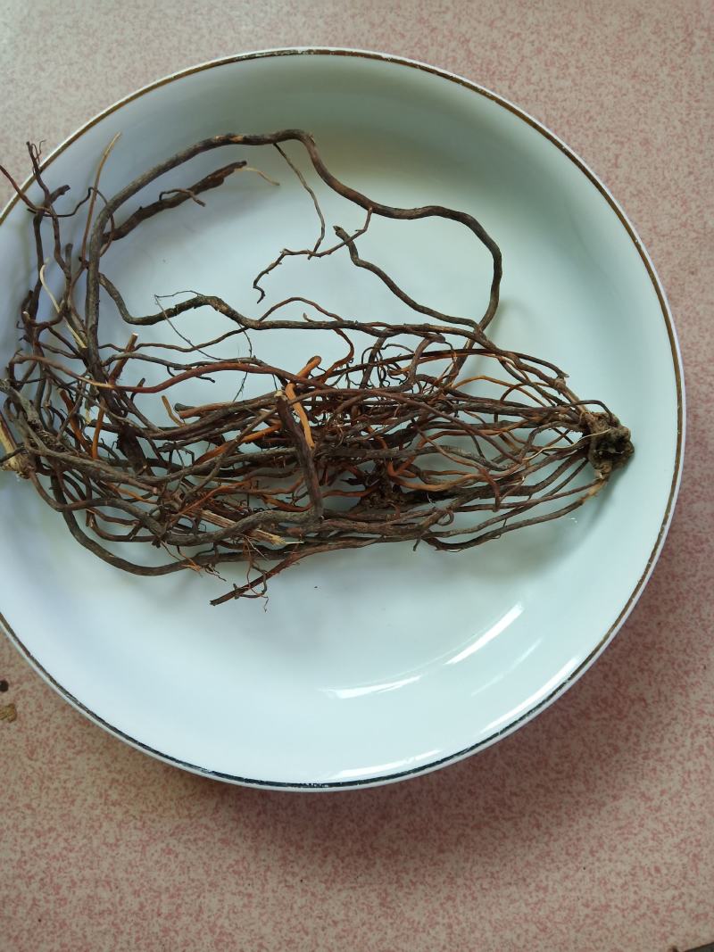 威灵仙，纯野生货品
