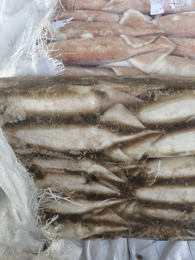 北朝鱿鱼，300-400克标价实价，圆管，鱿鱼，船冻鱿鱼