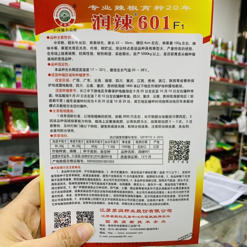 润辣601青皮大尖椒种子小叶片大果型羊角椒种子青果深绿色