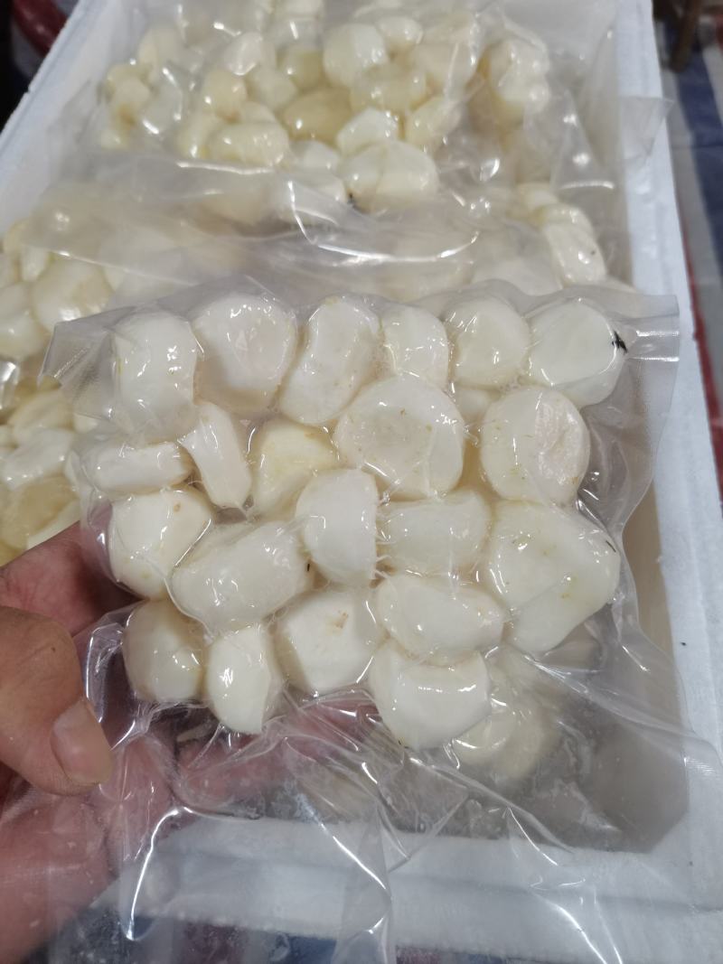 广西削皮白马蹄荸荠真空包装清甜化渣，欢迎咨询