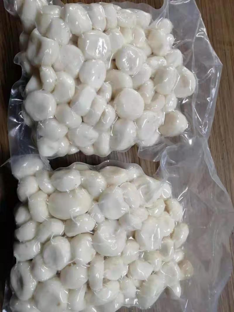广西削皮白马蹄荸荠真空包装清甜化渣，欢迎咨询