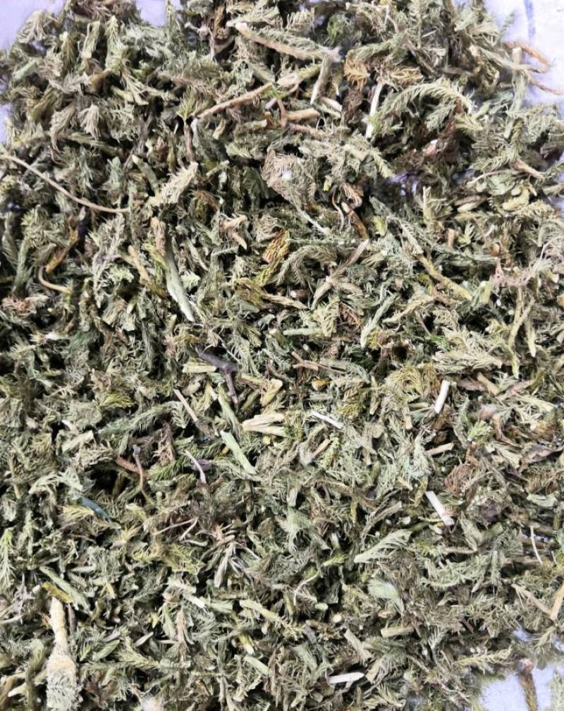 伸筋草舒筋草狮子草无硫新货中药材