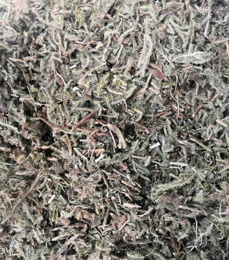 伸筋草舒筋草狮子草无硫新货中药材