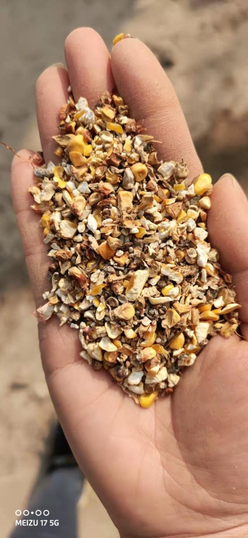 玉米漏，玉米加工过筛后的副产品，无土无沙