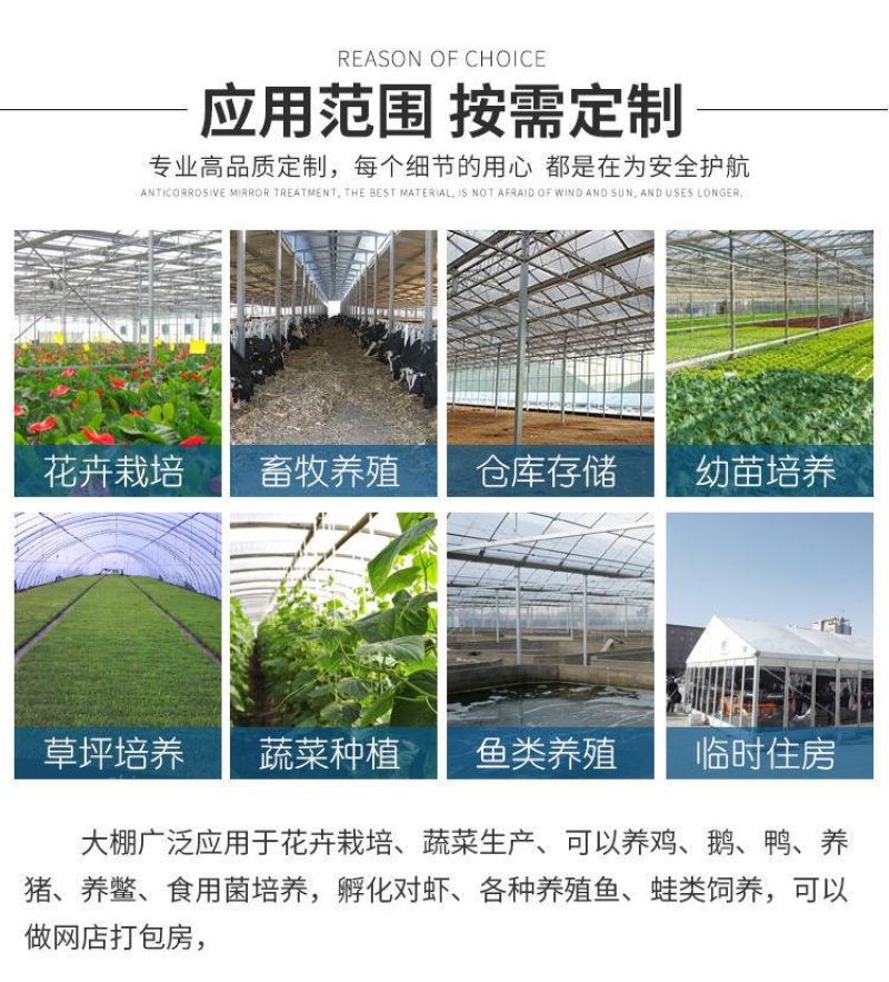 成套大棚货到付款普通大棚蔬菜大棚养殖大棚连栋大棚