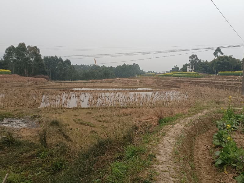 土地流转