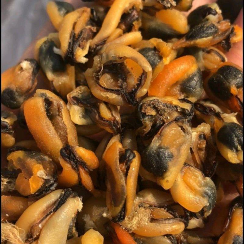 海虹干海虹淡菜干一手货源，大量批发各种规格可咨询