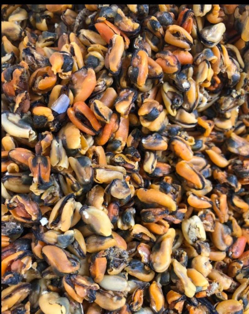 海虹干海虹淡菜干一手货源，大量批发各种规格可咨询