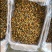 海虹干海虹淡菜干一手货源，大量批发各种规格可咨询