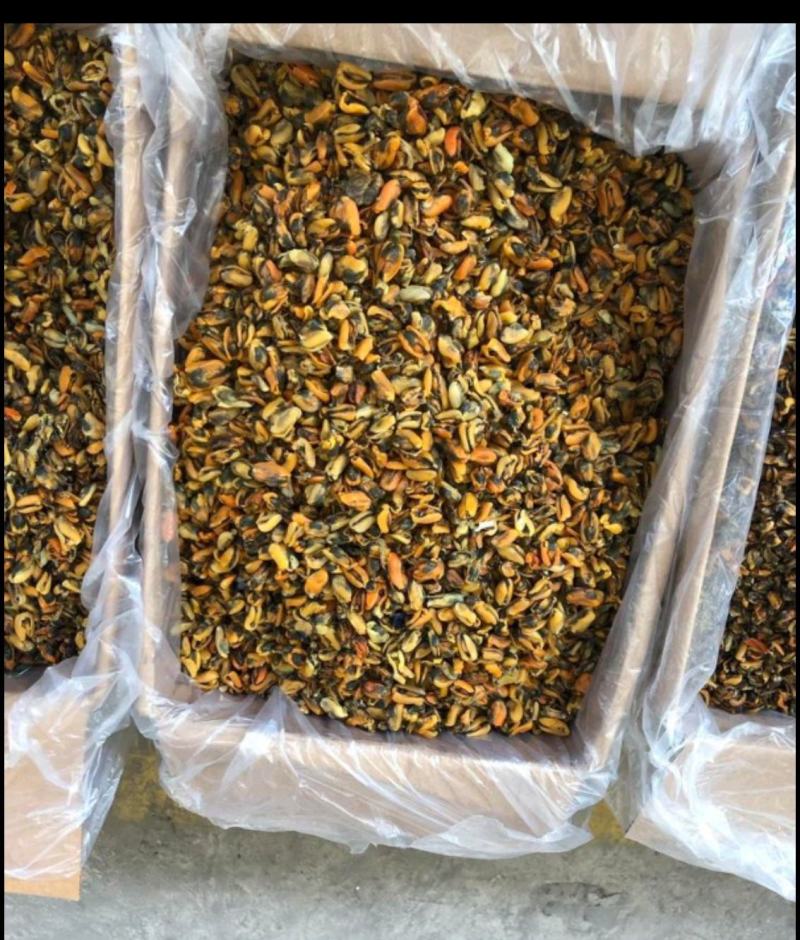 海虹干海虹淡菜干一手货源，大量批发各种规格可咨询
