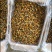 海虹干海虹淡菜干一手货源，大量批发各种规格可咨询