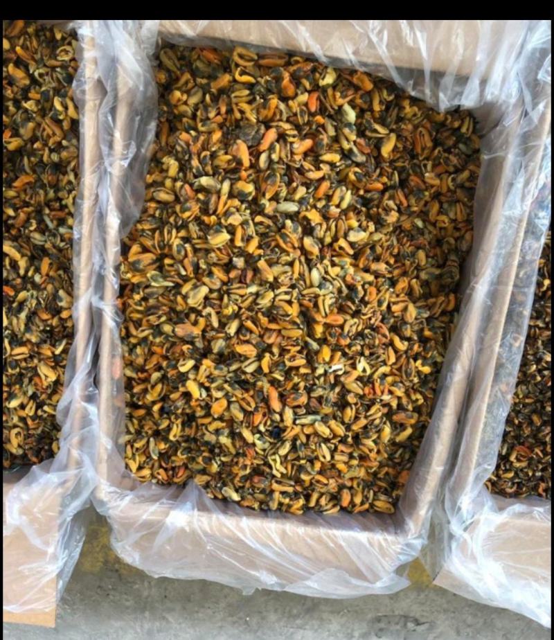 海虹干海虹淡菜干一手货源，大量批发各种规格可咨询