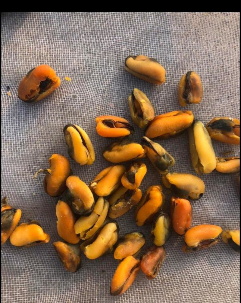 海虹干海虹淡菜干一手货源，大量批发各种规格可咨询