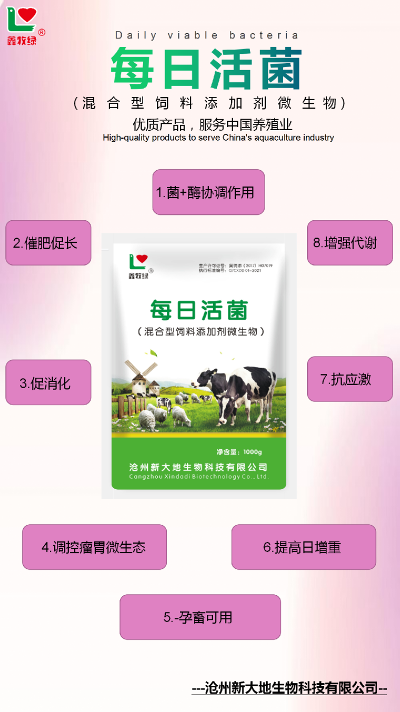 牛羊反刍用每日活菌促进消化吸收调理肠胃道补充B族维生素