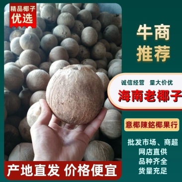 越南老椰椰子椰皇原装孕妇果热带椰子椰盅酒店炖品店甜品店