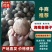 越南老椰椰子椰皇原装孕妇果热带椰子椰盅酒店炖品店甜品店
