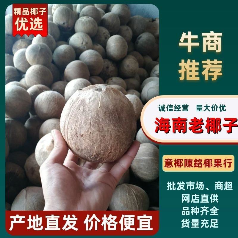 越南老椰椰子椰皇原装孕妇果热带椰子椰盅酒店炖品店甜品店