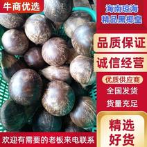 椰子黑椰皇孕妇水果营养丰富质量保证对接批发零售客商