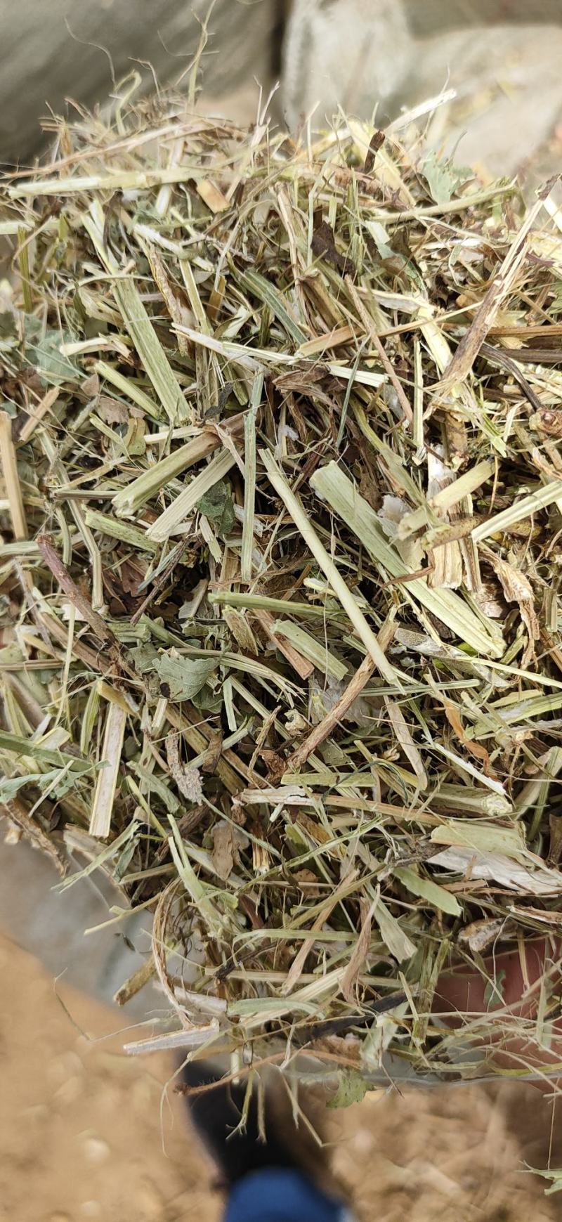 花生秧草粉、花生秧草段、颗粒、叶粉、马牛羊草料、饲料原料