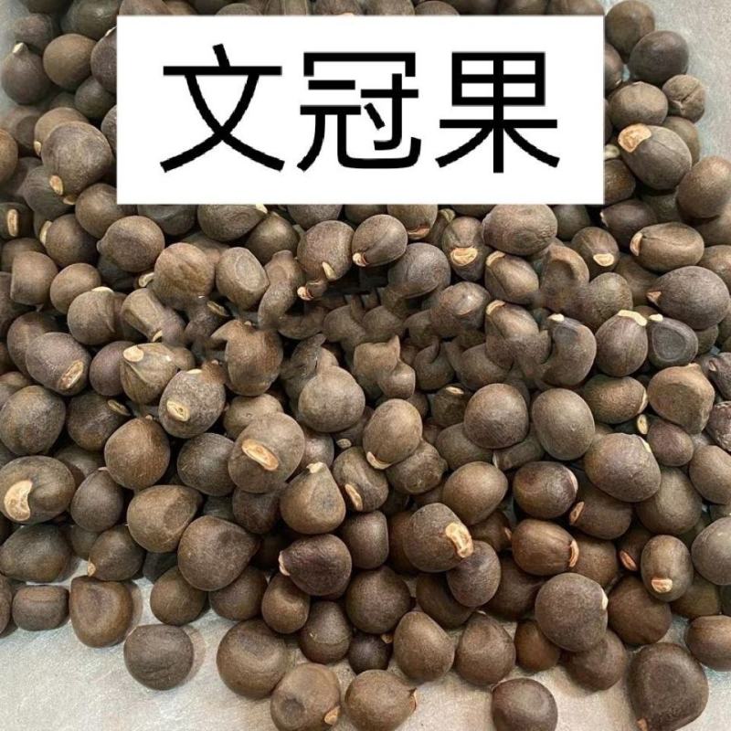 文冠木文冠果无硫干货干净无杂中药材大全
