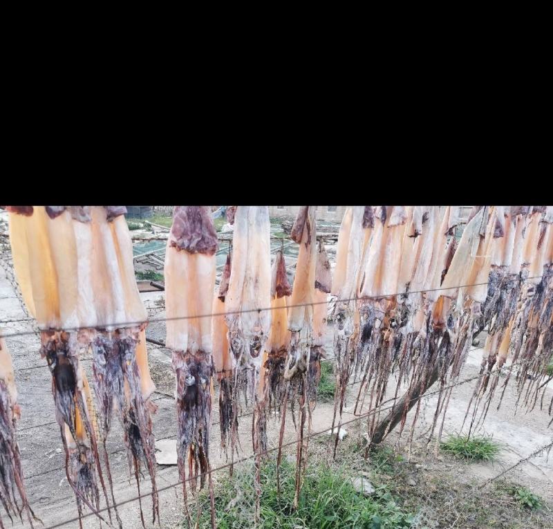 场地发货盐干鱿鱼干，批发价格鱿鱼渔民自晒海鲜干货，量大从