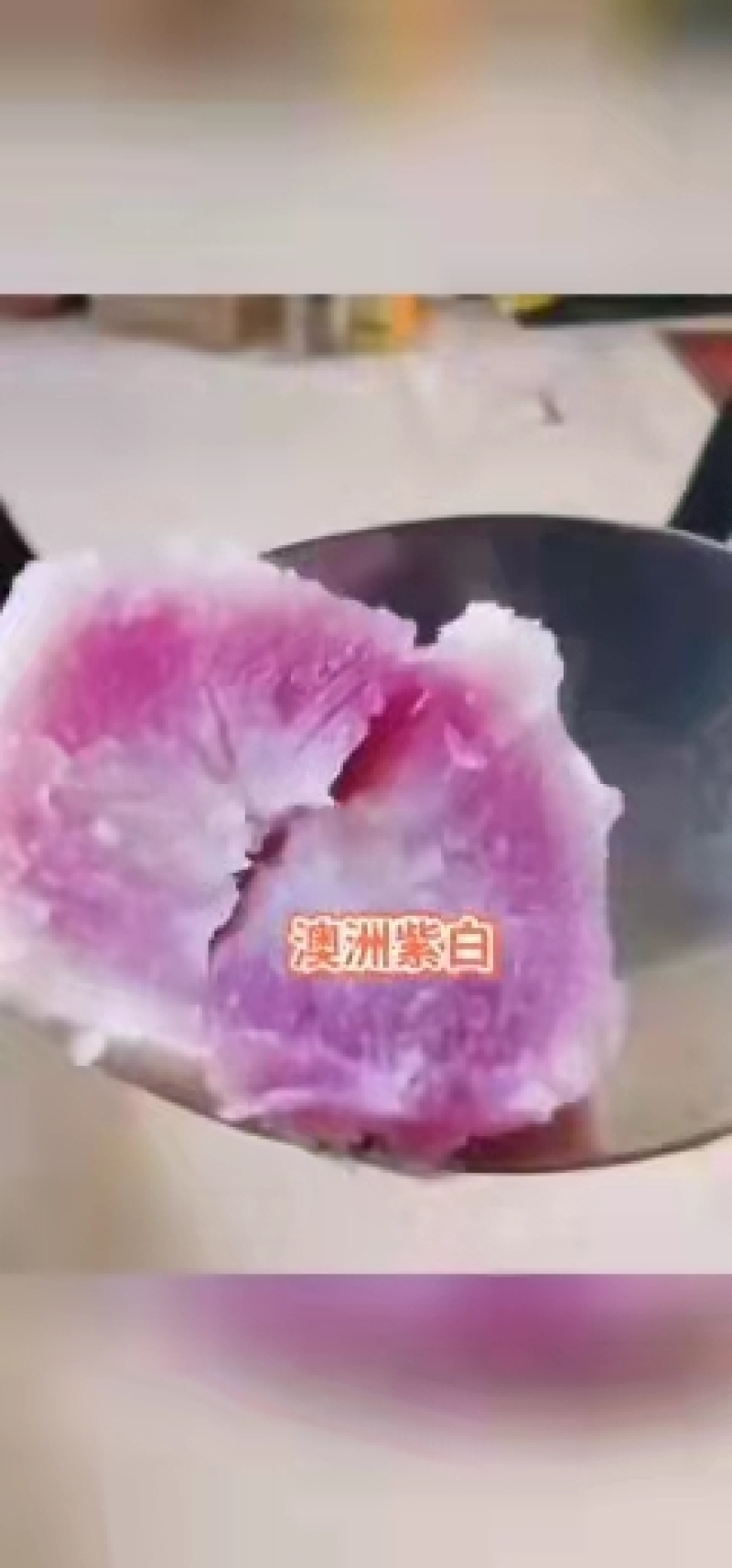 纯种高代，本基地全部都是大脱毒公司的扦插苗培育种薯红薯苗。