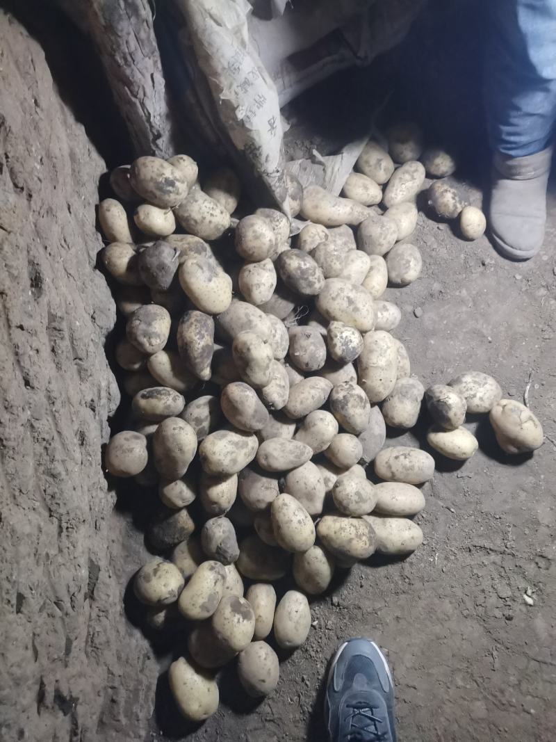 黄，皮黄心微七土豆个头大薯型好，颜色好，