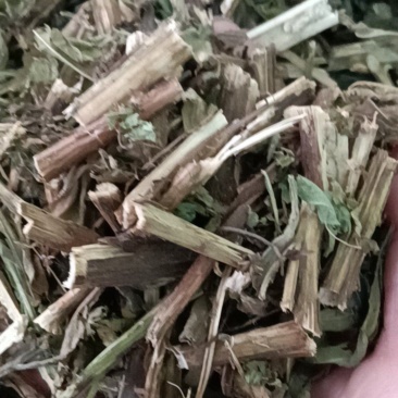 六棱菊，别名（臭灵丹，六耳零）