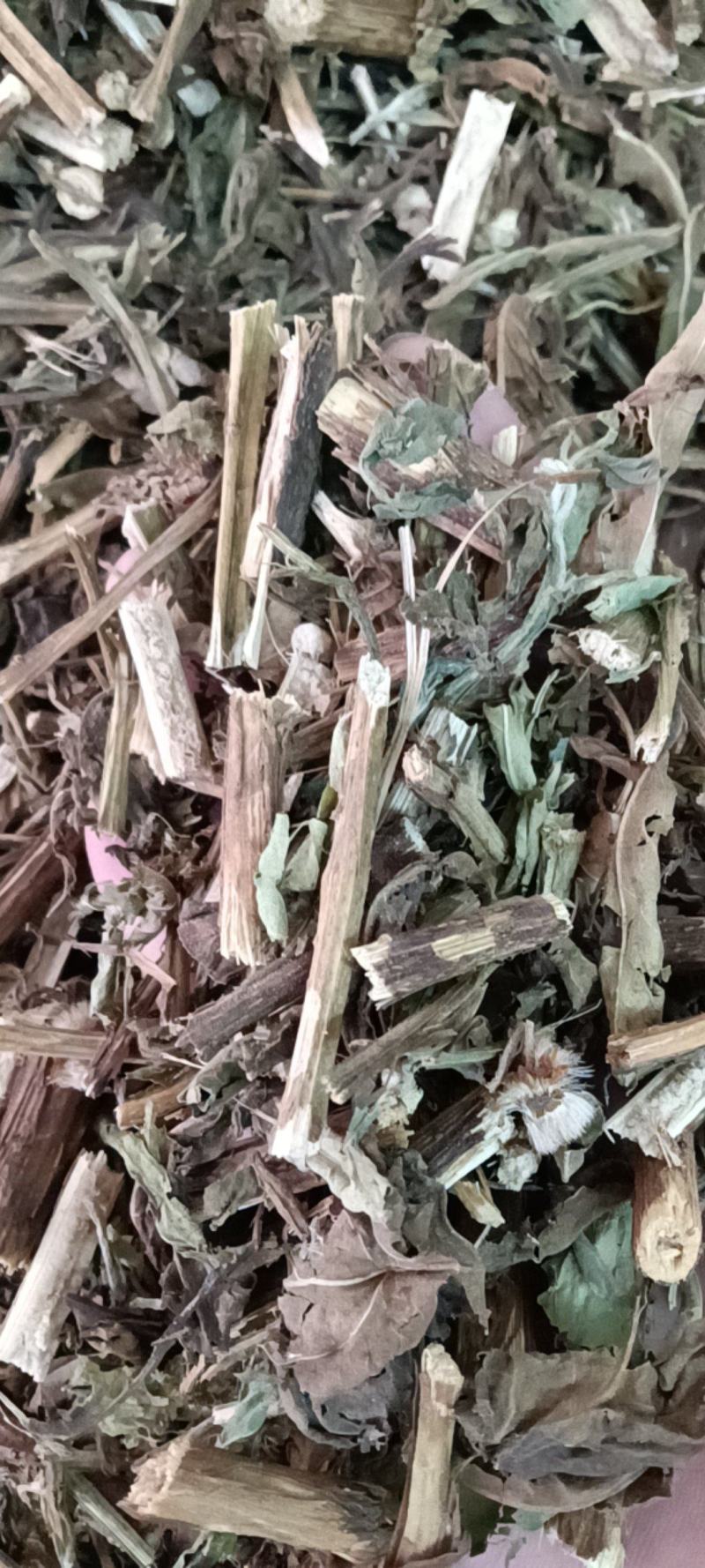 六棱菊，别名（臭灵丹，六耳零）