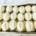 胶东大饽饽，花饽饽，枣饽饽，馒头。可定做。5.5元/斤。