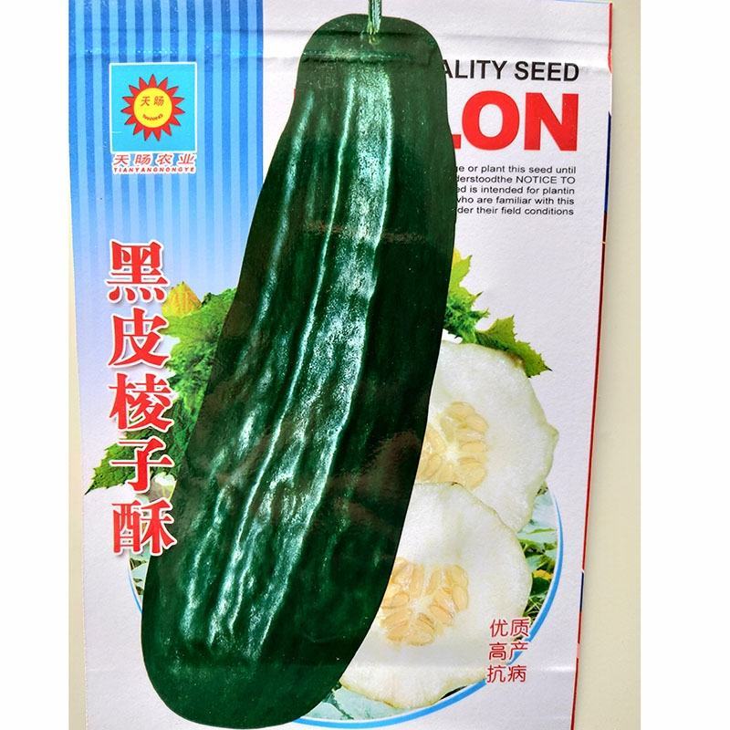 黑皮棱子酥甜瓜种子，400粒