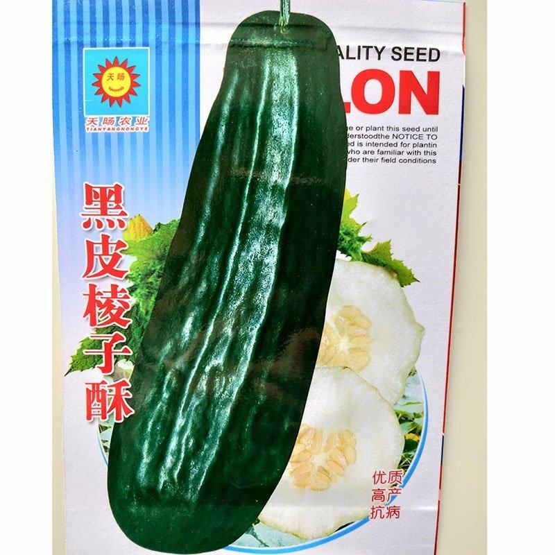 黑皮棱子酥甜瓜种子，400粒