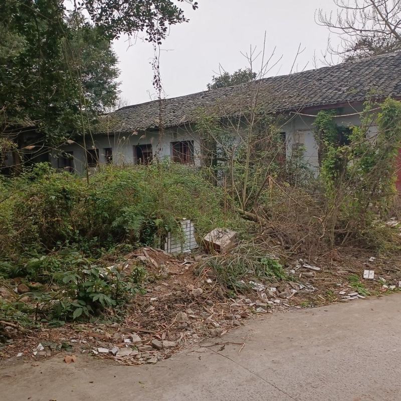 3亩建设用地出租