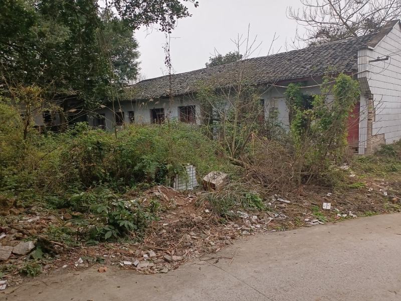 3亩建设用地出租