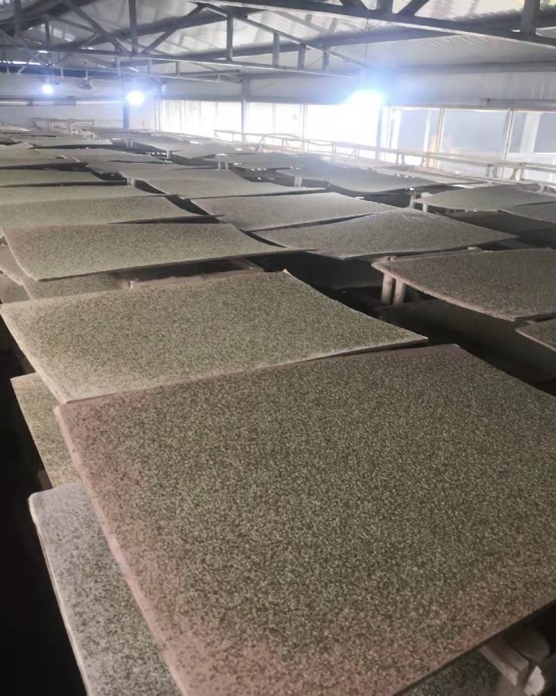 鸭梨花梨花精粉高活性无杂质梨花精粉苹果花粉桃花粉