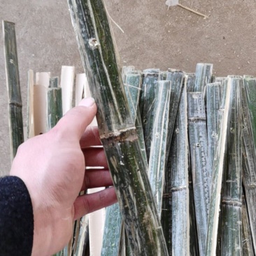 葡萄构架专用竹片