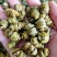 石斛水草石斛浙江无硫各种规格大量供应一件代发
