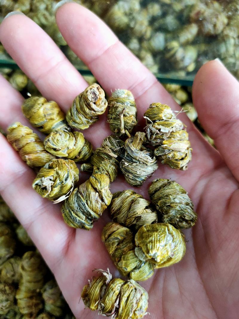 石斛水草石斛浙江无硫各种规格大量供应一件代发