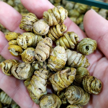 石斛水草石斛浙江无硫各种规格大量供应一件代发