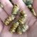 石斛水草石斛浙江无硫各种规格大量供应一件代发