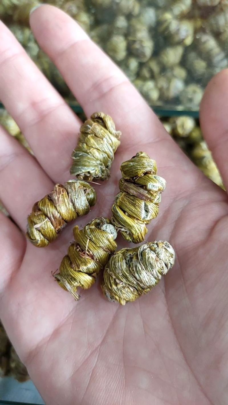 石斛水草石斛浙江无硫各种规格大量供应一件代发