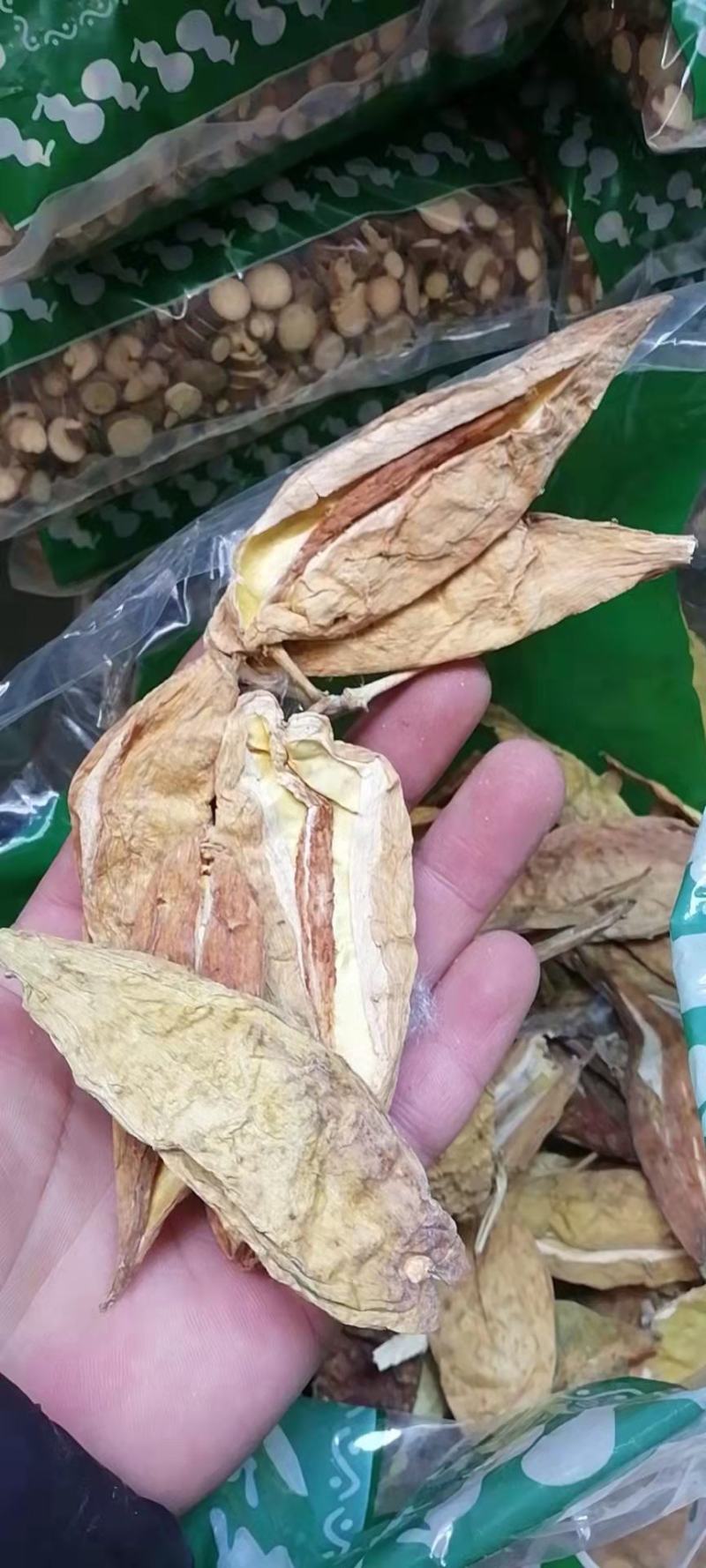 天浆壳天降壳萝摩壳老瓜瓢冷背中药材