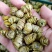 石斛水草石斛浙江无硫各种规格大量供应一件代发