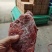 卤猪条形肉，八层熟，没打粉，没注水，条条带筋，