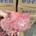 卤猪条形肉，八层熟，没打粉，没注水，条条带筋，