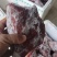 卤猪条形肉，八层熟，没打粉，没注水，条条带筋，