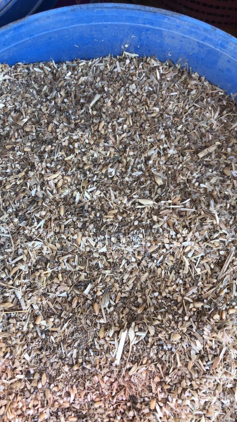 一级纯黄色麦毛，饭渣，碎玉米，碎小麦，草籽吗，麦土等。