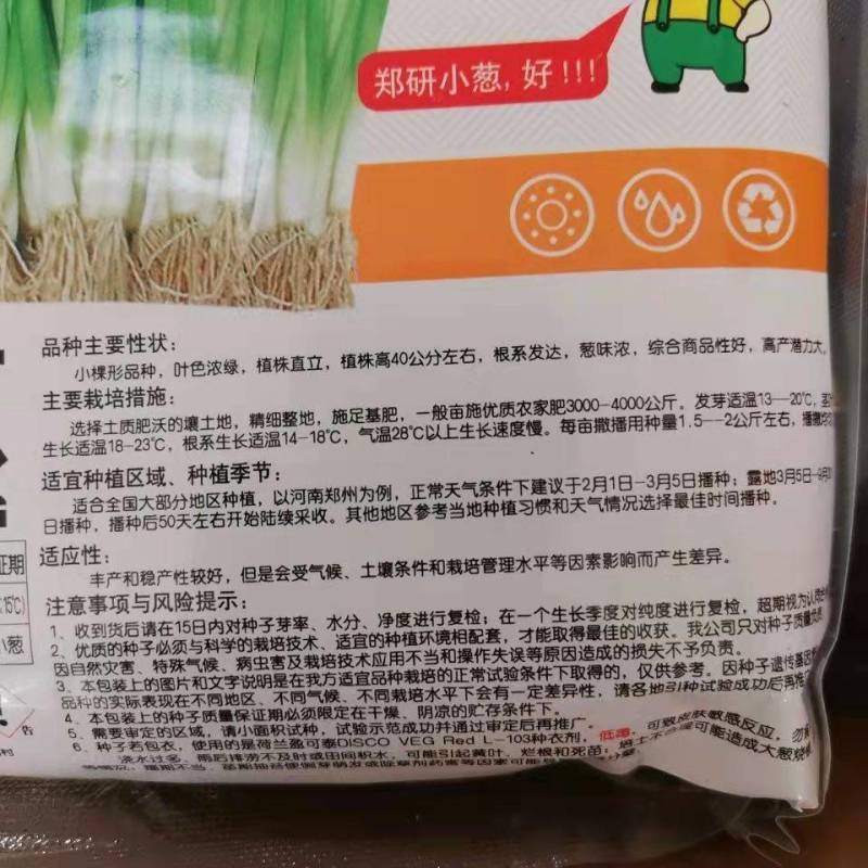 郑研小香葱四季种植小香葱种子批发味道鲜美产量高叶色浓绿