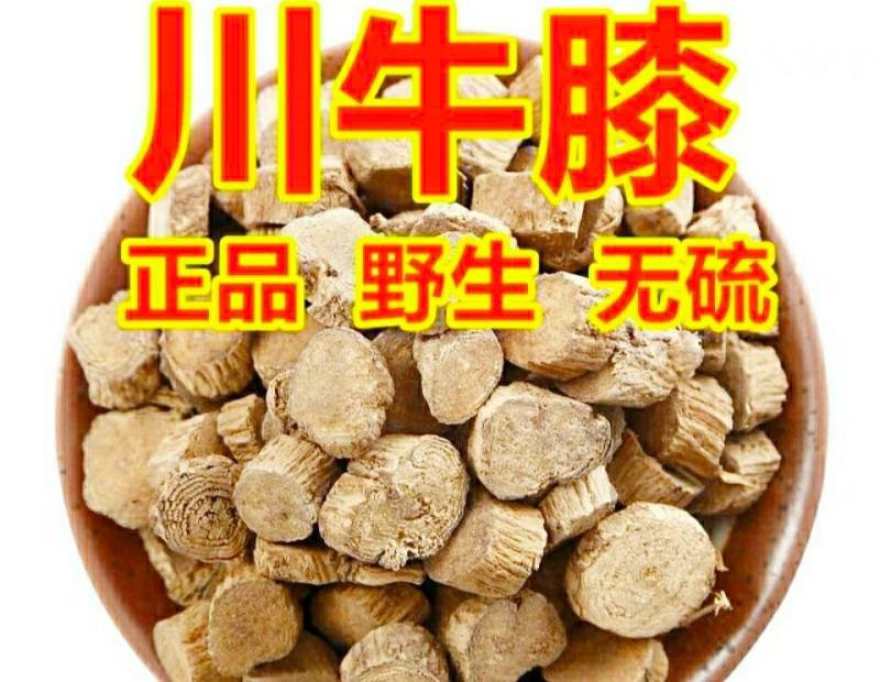 中药材怀牛膝川牛膝道地中药材品质保证包邮