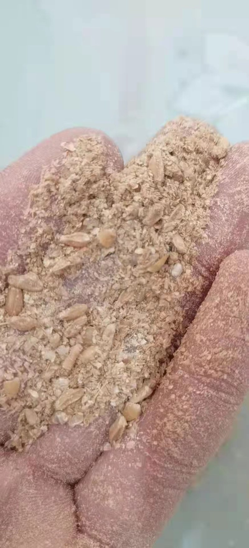 小麦麸皮厂家直销货源充足质优价廉全国发货